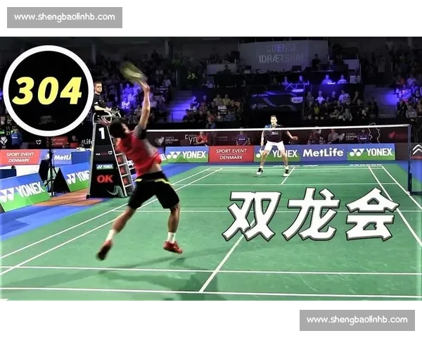 谌龙与安赛龙巅峰对决见证羽坛王者时代更迭的经典一战回顾与传奇