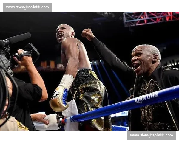 梅威瑟vs嘴炮世纪之战门票价格走势与购票指南解析深度全面