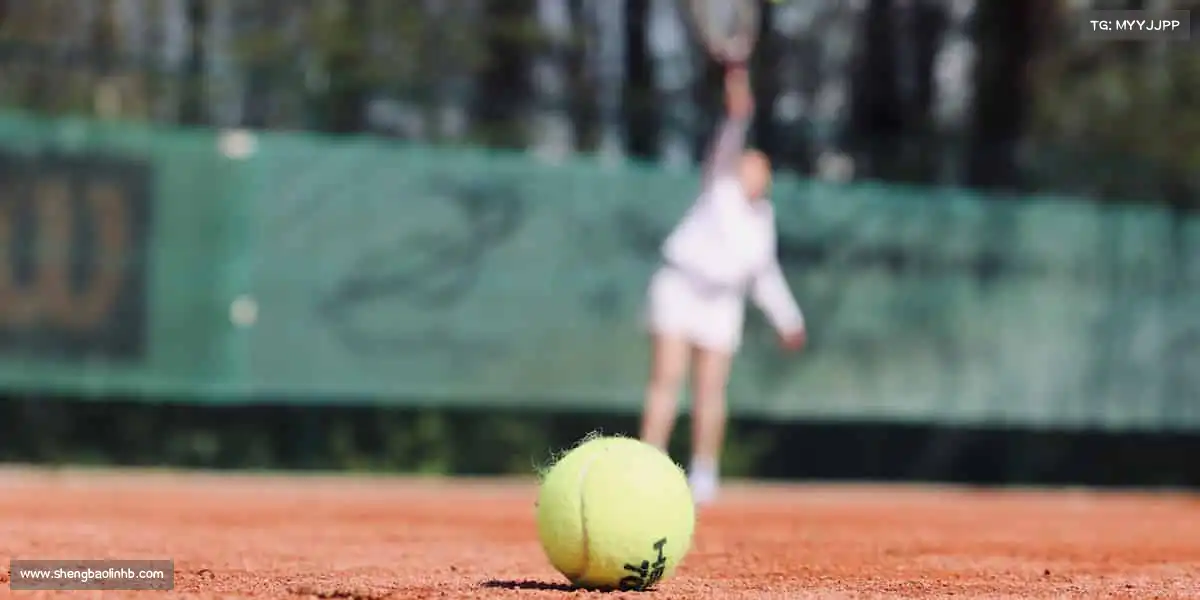 为什么选择我们